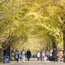 은행1공영주차장 이미지