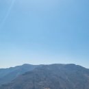 명산사슴농장 이미지