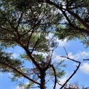 철성농장 이미지