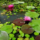 등대회관 이미지