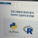 [HD]파이썬으로 하는 데이터 분석 - Pandas 제대로 배우기 | 아이티동스쿨 파이썬 R 패키지 후기, 데이터 분석 입문자가 보기 좋은 온라인 강의