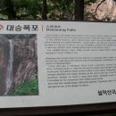 설악탕 이미지