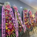 오늘도 힘차개 이미지