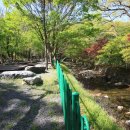 보령 나들이 1코스 이미지