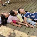 바바나무 이미지