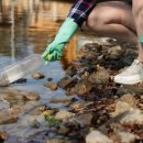 생활속 탄소 중립-제로웨이스트 이미지