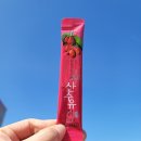 지리산산수유 이미지