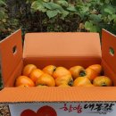 대봉 Daum카페