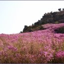 버든농장 이미지