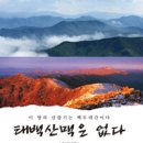 태백산맥 - 중구 | 태백산맥