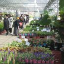 분당장터길 이미지