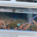 연화리회공장 이미지