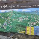 국립유명산자연휴양림(일반)