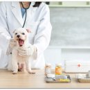 기장동물약국 이미지