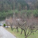 곡성-020 이미지