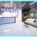 봄날초이스의원