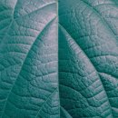 홍인한의원 이미지