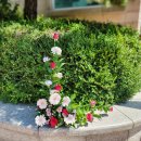 예원약국 이미지