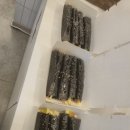 모아꼬마김밥 | 단체도시락 주문하기 좋은 선비꼬마김밥 구리안창점 주문후기