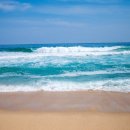 바다 카카오 검색결과