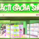 캑티 가챠샵(CACTI GACHA SHOP) 종각점 이미지