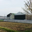 강진농협주유소 이미지