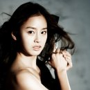 아이리스(IRIS) 이미지