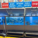 매일스시 횟집 이미지