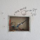 그린비디오 이미지