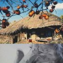 고향개장집 이미지