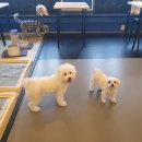 개린이 유치원 이미지