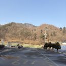 캠프이노베이션 착한횡성한우