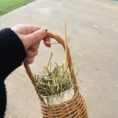 안다미로목장제3농장 | [경기도/파주] 서울 근교 농장 체험 | 동물 먹이주기...감자캐기까지, 25개월 아기 룰루목장 방문 후기