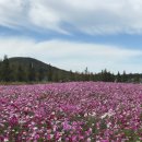 신동방주유소 이미지