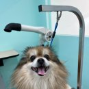 멍블리즈 이미지