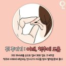귀를 통한 건강관리 이미지