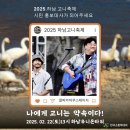 고니 무역