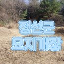 정선하늘터 티스토리