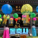 동축사 | 울산 시내 절 추천 동축사 방문 후기