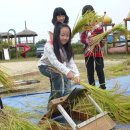 자채방아마을 이미지