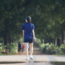 숲과꽃 Daum카페