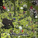 대선다방