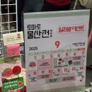 유명물산 - 구로구 경인로53길 15 | 홍대] 토마토 좋아 인간이 다녀온 ‘토마토 물산전’ 팝업 후기: 아기자기 귀여운 토마토 제품들이 가득...
