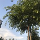 신반포역 3번출구앞 이미지