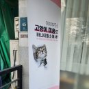 바니이발소 이미지