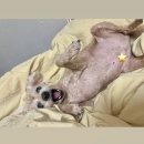 스위티 PC방 | What&#39;s in my blog? 질문 30가지