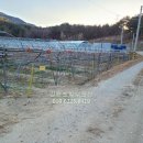 청포도공인중개사사무소 이미지