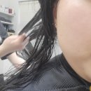 답십리미용실 추첮 샵지누헤어 답십리점 채이디자이너 클리닉 후기