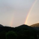 색동다리 이미지