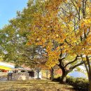 장성목장 이미지